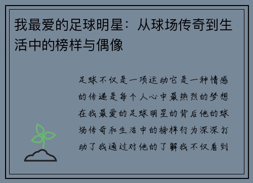 我最爱的足球明星：从球场传奇到生活中的榜样与偶像
