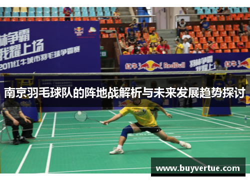南京羽毛球队的阵地战解析与未来发展趋势探讨