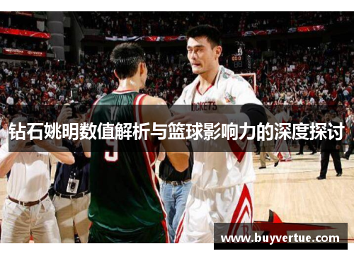 钻石姚明数值解析与篮球影响力的深度探讨