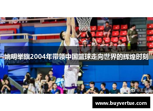 姚明举旗2004年带领中国篮球走向世界的辉煌时刻